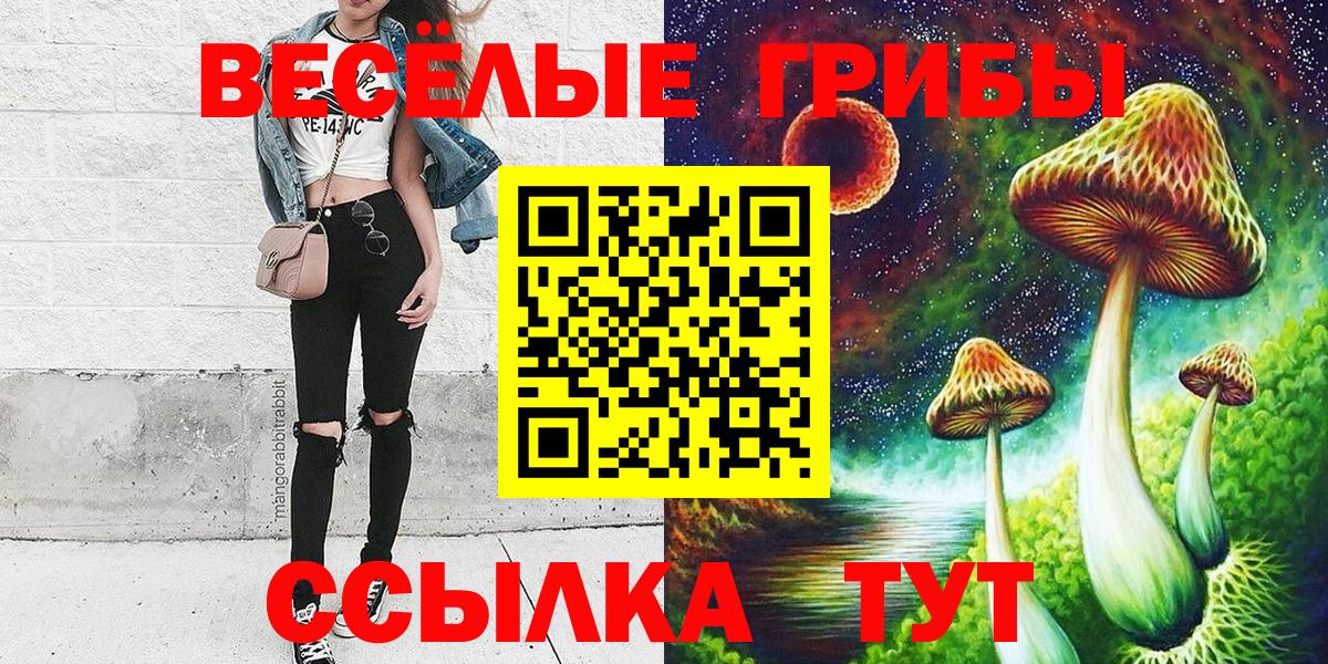 Псилоцибиновые грибы прущие грибы Бугульма